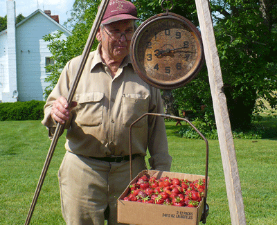 Joe Brown weighing strawberries
