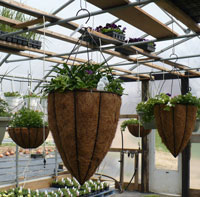 Pointed hanging baskets