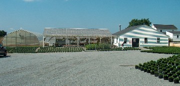 Hilltop Greenhouse outside