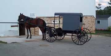 Amish horse and buggy