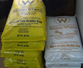 Grain bags