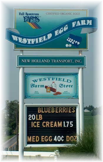 Westfield Sign