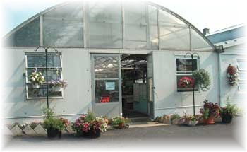 Zooks greenhouse